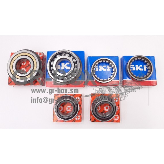 ZF S5-20 bearing kit