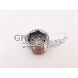 ZF 5DS-25/2 (105) magnetic oil plug