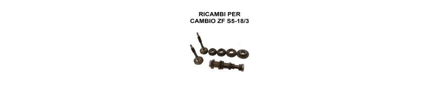 RICAMBI PER CAMBIO ZF S5-18/3