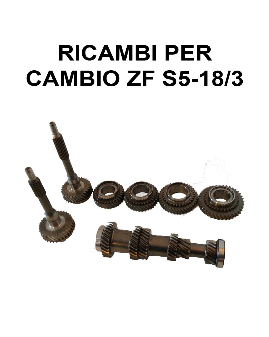 RICAMBI PER CAMBIO ZF S5-18/3